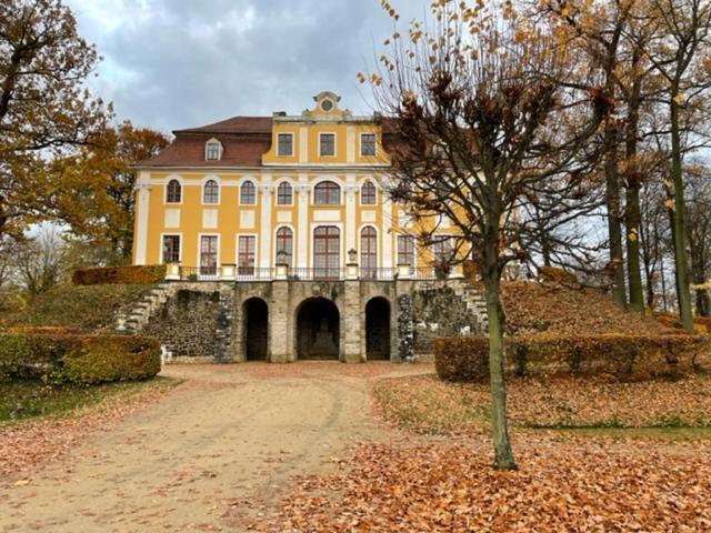 Pension Grandel Kottmar Exterior foto